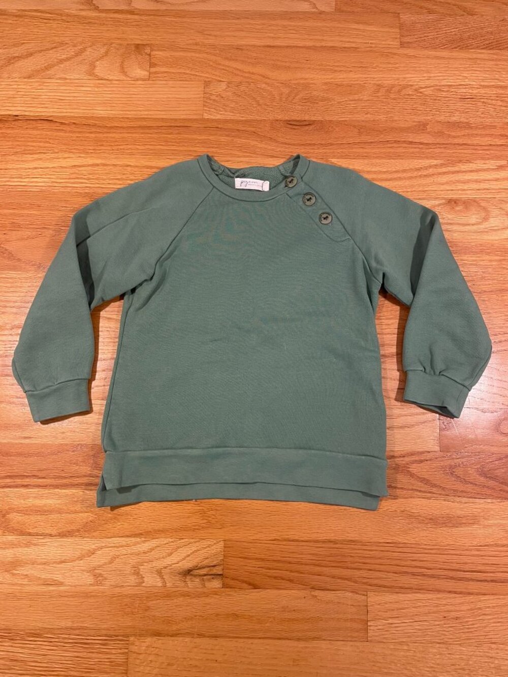 Pigeon Organics Green Raglan Sweatshirt